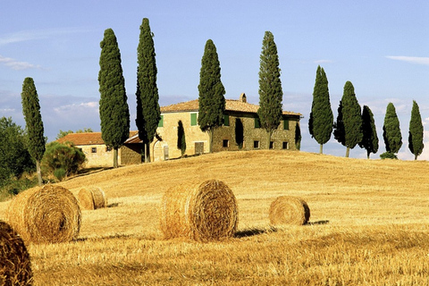 Excursión desde La Spezia: Pisa,Lucca,almuerzo y degustación BodegaExcursión desde La Spezia a Pisa Lucca con almuerzo y degustación