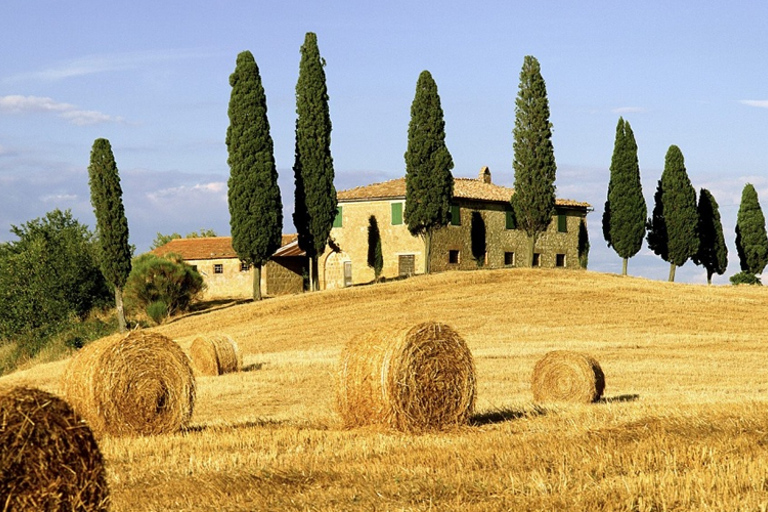 Excursión desde La Spezia: Pisa,Lucca,almuerzo y degustación BodegaExcursión desde La Spezia a Pisa Lucca con almuerzo y degustación