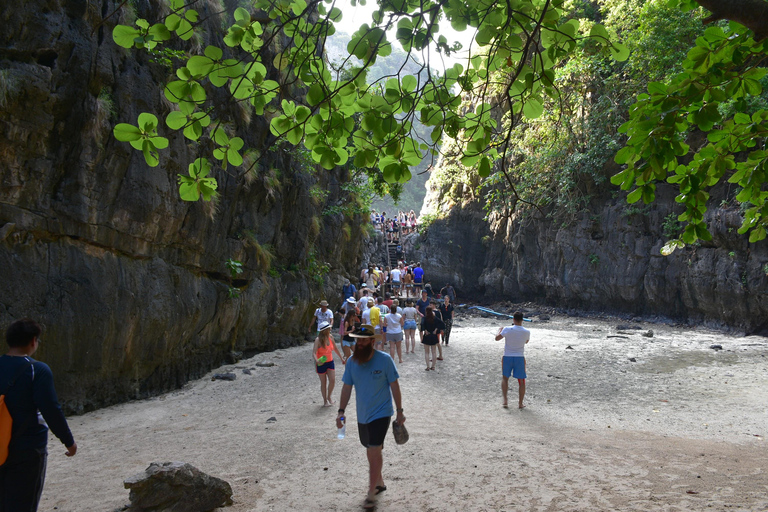 Krabi: Wycieczka łodzią motorową na wyspy Phi Phi i do zatoki Maya z lunchemWycieczka prywatna