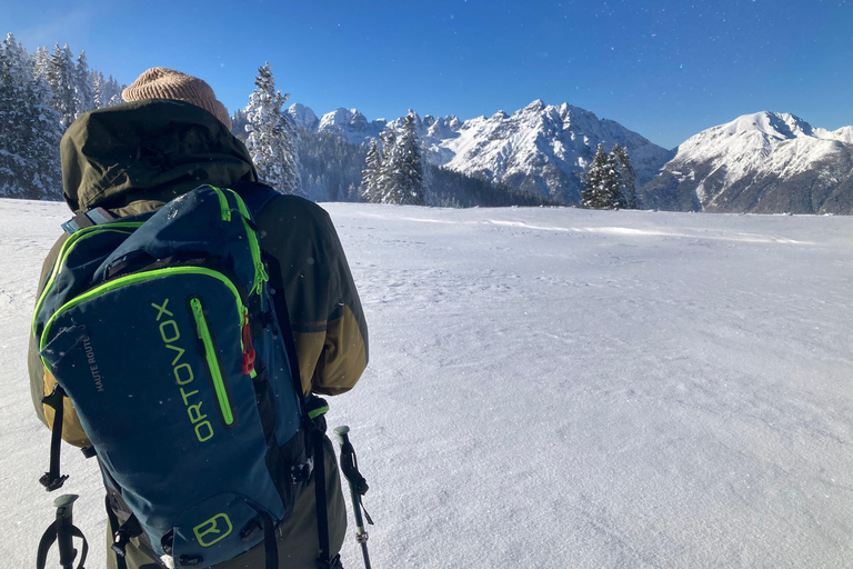Ehrwald : Randonnée en raquettes à Zugspitze avec vue sur les montagnes