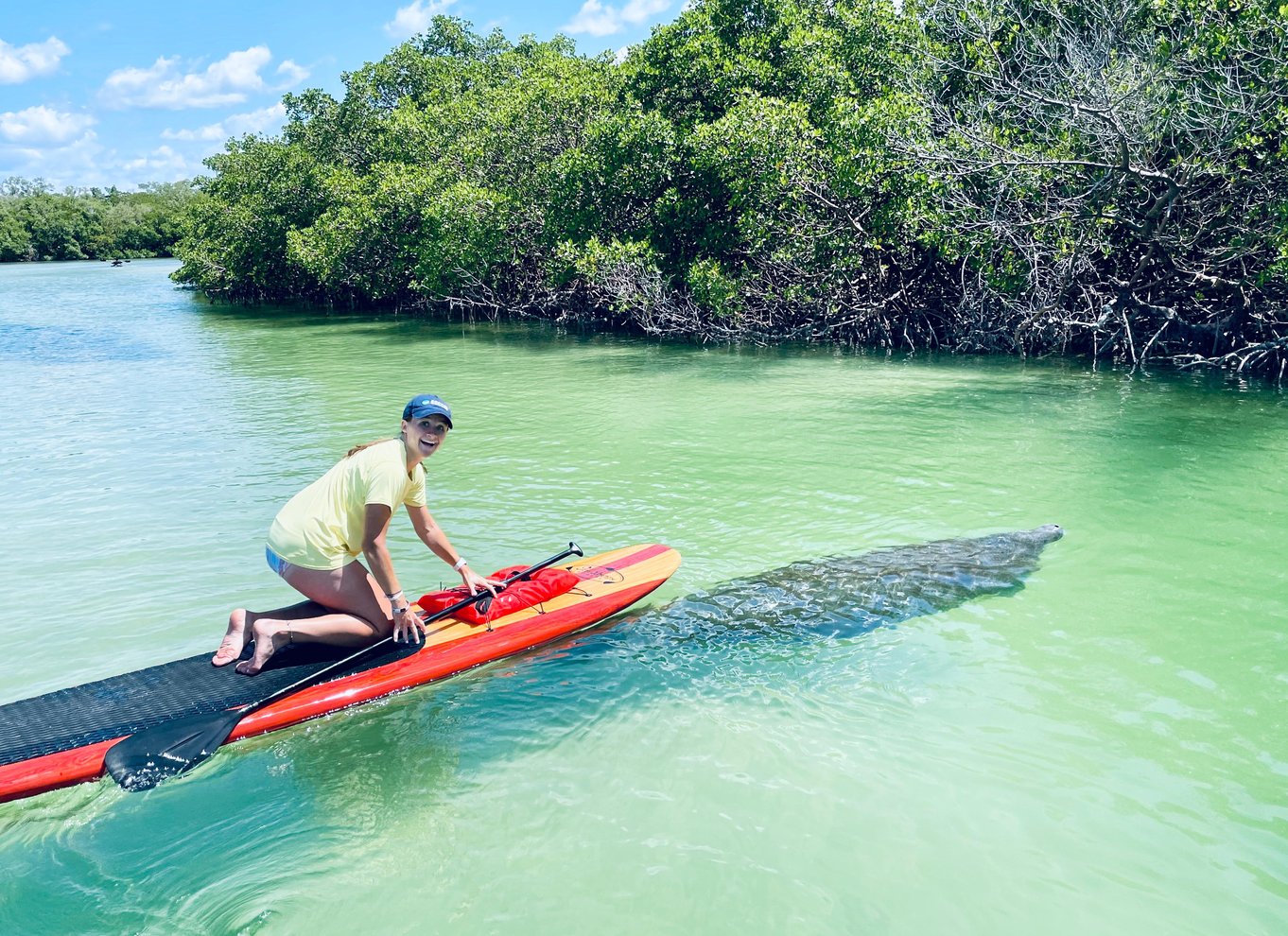 Fort Myers: Guidet Standup Paddleboarding eller Kajak tur