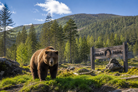 From Tromsø: Polar Park & Målselvfossen Full-Day Tour
