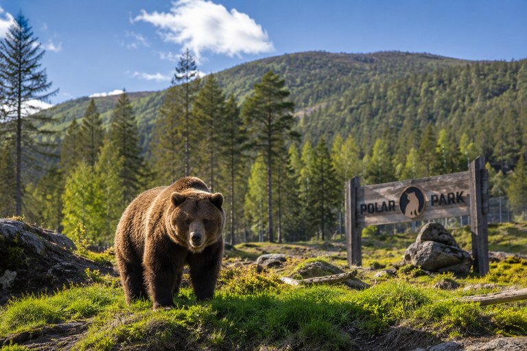From Tromsø: Polar Park & Målselvfossen Full-Day Tour