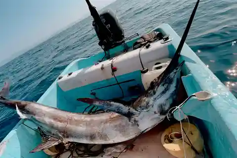 Puerto: Fishing Experience Marlin, Sailfish, Tuna or Dorado