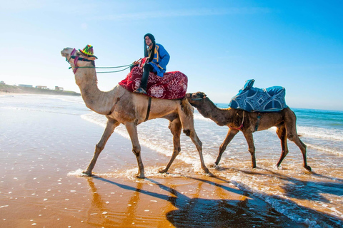 Agadir: Valle del Paradiso e Dune di sabbia del deserto con giro in cammelloParadise Valley e Dune di sabbia del deserto con giro in cammello