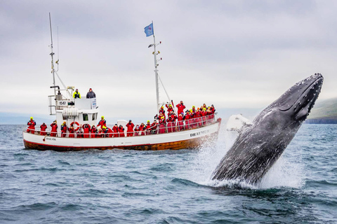 Från Reykjavik: 6-dagars rundtur på den isländska ringvägenFrån Reykjavik: 6 dagars rundtur på den isländska ringvägen