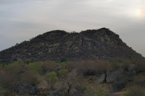 Udaipur to Jodhpur: Ranakpur Temple & Jawai Leopard Safari