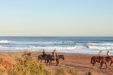 Doñana: Beginner Coastal Horseback Experience 1-Hour Beginner Coastal Horseback Experience
