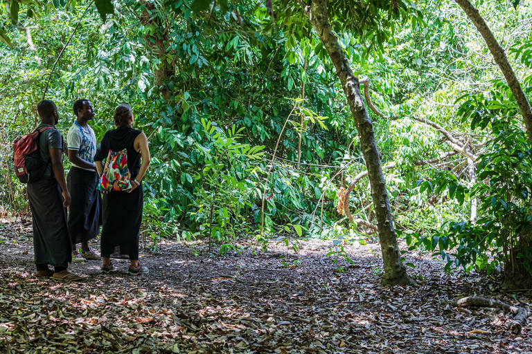 Exploring Nature's Treasures: A Private Day Trip in Diani Exploring Nature's Treasures: A Day Trip in Diani