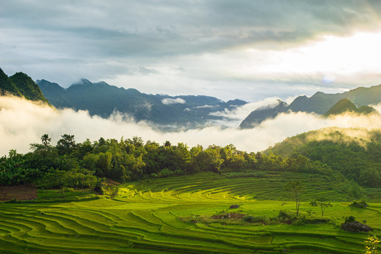 Au départ de Hanoi : Circuit de 3 jours dans la réserve naturelle de Pu Luong