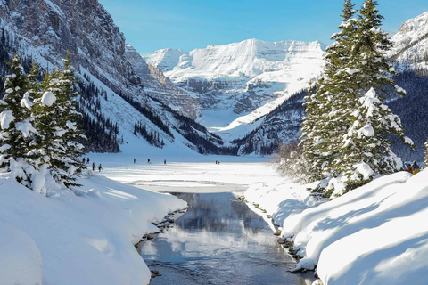 Banff/Canmore : Lake Louise et la promenade des GlaciersVisite partagée