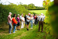 Van Brighton, Sussex Wine Tour op een vintage bus met lunch - Housity