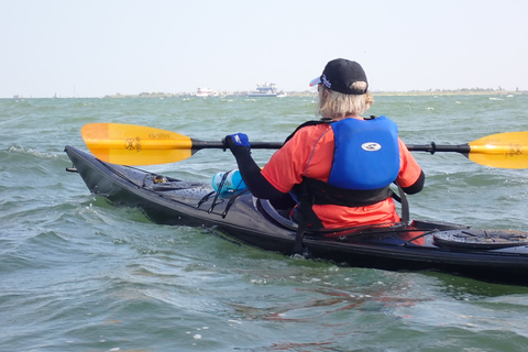 SS Selma Concreate Shipwreck | Historical WWI Landmark