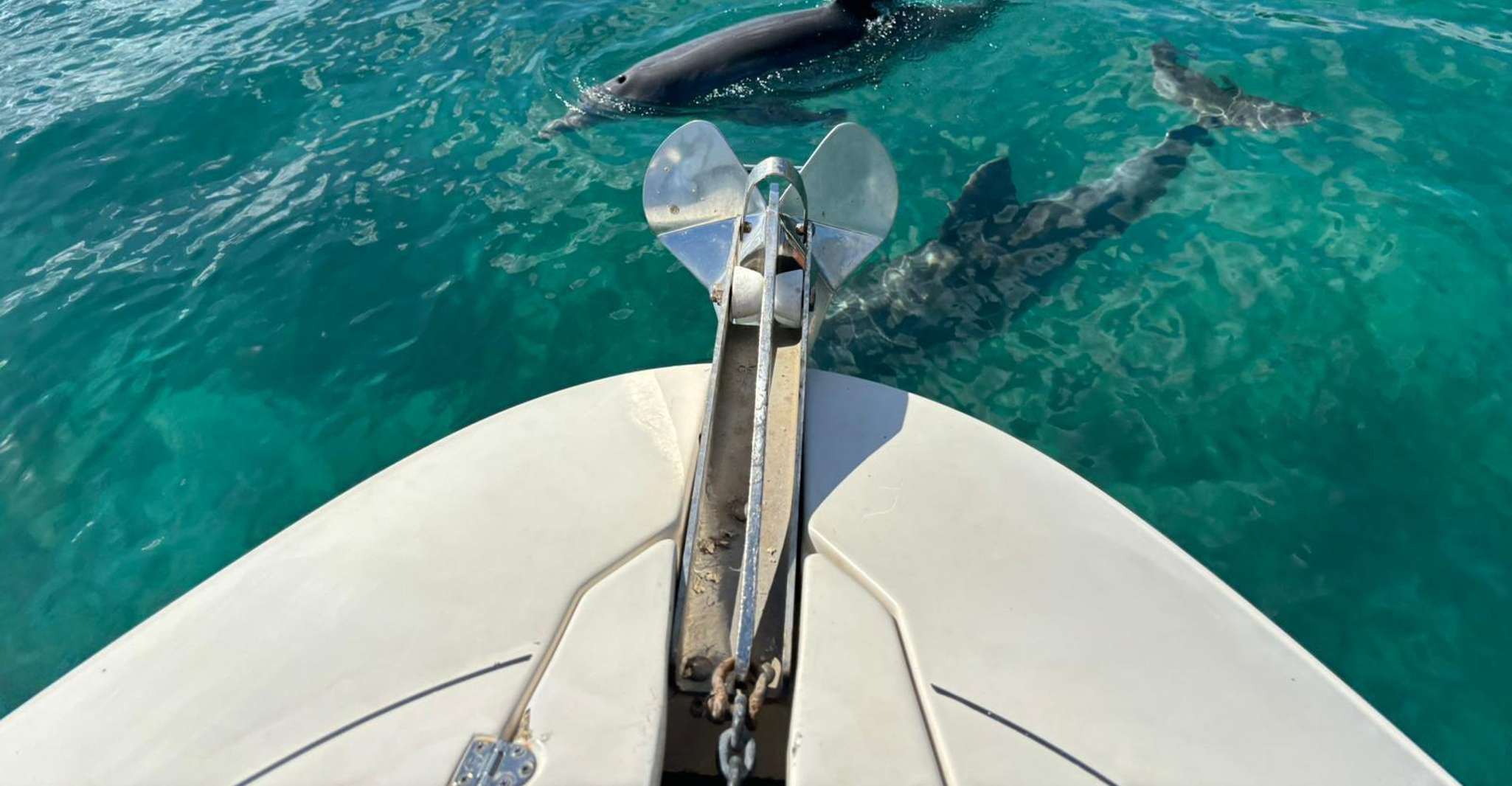 Miami: Exclusive Private Boat Guided Tour photo 15