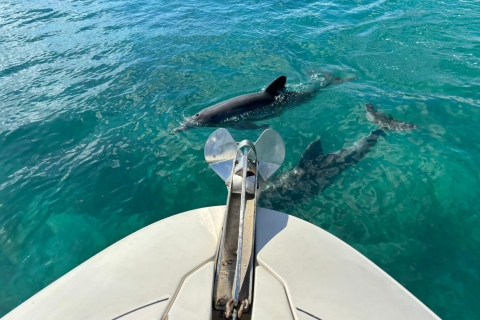 Visites privées en bateau dans le magnifique Bay Side Miami 29' ChaparralVisite d'une demi-journée