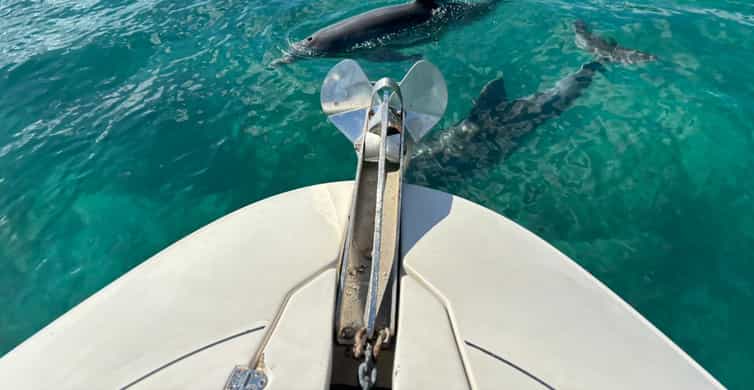 Miami: Exclusive Private Boat Guided Tour photo 15