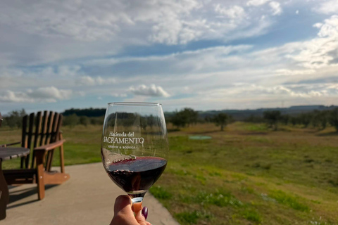 Colonia del Sacramento: Vineyard Tour & Special Wine Tasting