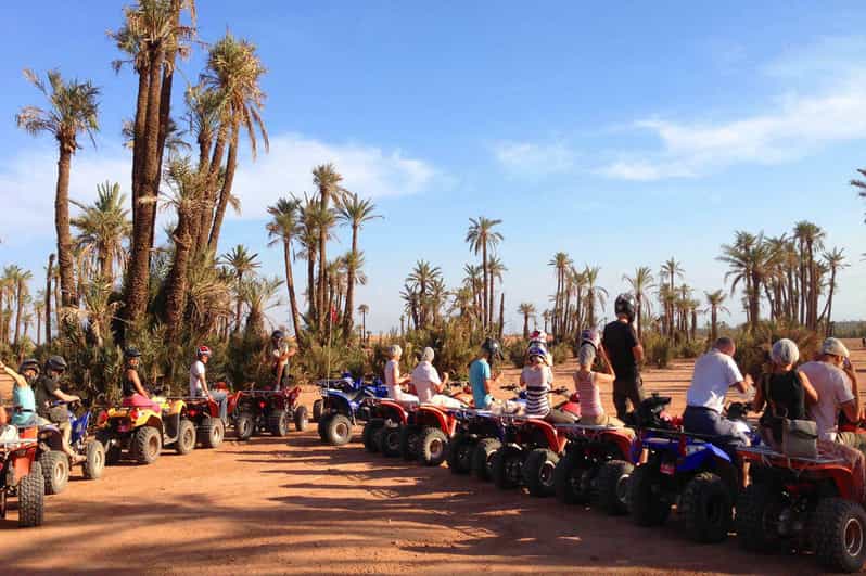 Marrakech Camel Ride in the Palmeraie with Tea Break GetYourGuide