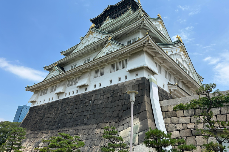 Osaka Castle: History Walking Tour, Castle Tower Admission