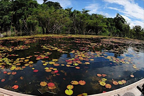 Jari Canal and Flavors of Vitória-Régia: Amazon River Experience