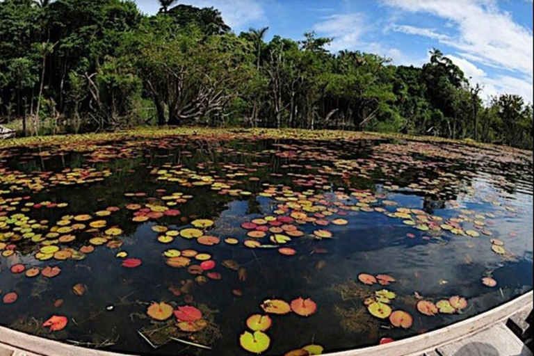 Jari Canal and Flavors of Vitória-Régia: Amazon River Experience