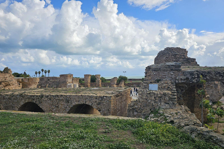 Excursión de un día a Cartago y Sidi Bou Said
