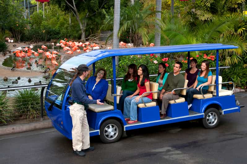 San Diego Zoo 1Day Admission Ticket GetYourGuide