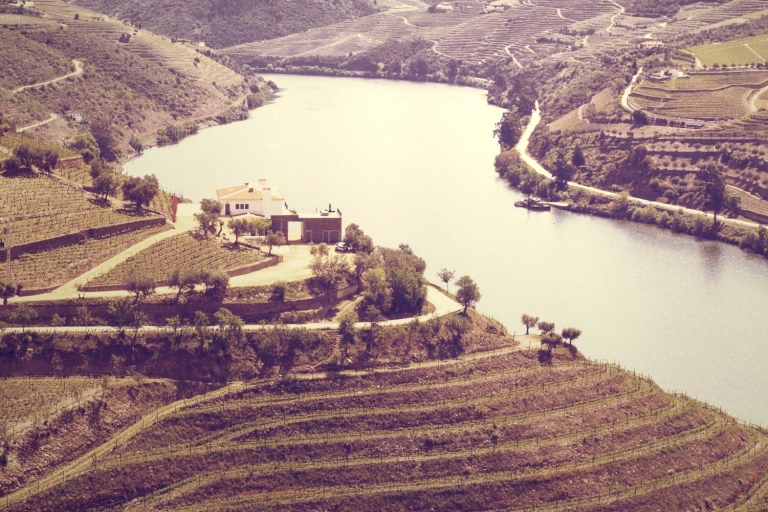 Douro Valley Vineyards Full-Day Tour z PortoAngielski, francuski, hiszpański i portugalski Tour