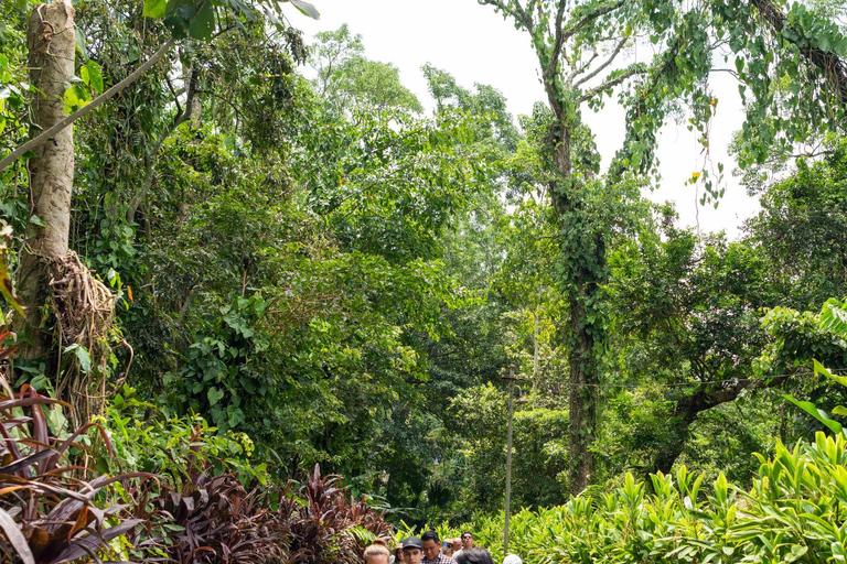 Tapachula: Argovia Coffee, Flowers, and Legacy Tour