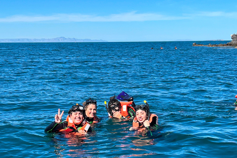 La Paz: Espíritu Santo Sea Lion Snorkel with Starlink Wi-Fi Without Pick Up and Drop Off