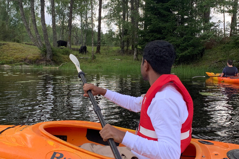 Oslo: Guided Kayak Tour on Lake Langen with Lunch