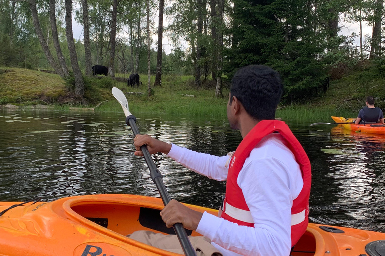 Oslo: Guided Kayak Tour on Lake Langen with Lunch