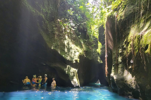 Roseau: Rainforest tour of Trafalgar Waterfalls & Geysers.
