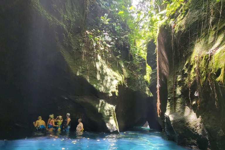 Roseau: Rainforest tour of Trafalgar Waterfalls & Geysers.