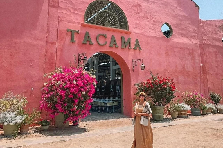 Luxury Private Tour from Lima: Ballestas, Vineyards, and Adrenaline-Fueled Buggy Ride Luxury Private Tour from Lima: Ballestas, Vineyards, and Adrenaline-Packed Buggy Ride
