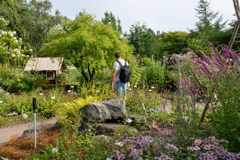 Uppsala: City Highlights and Hidden Gems Walking Tour