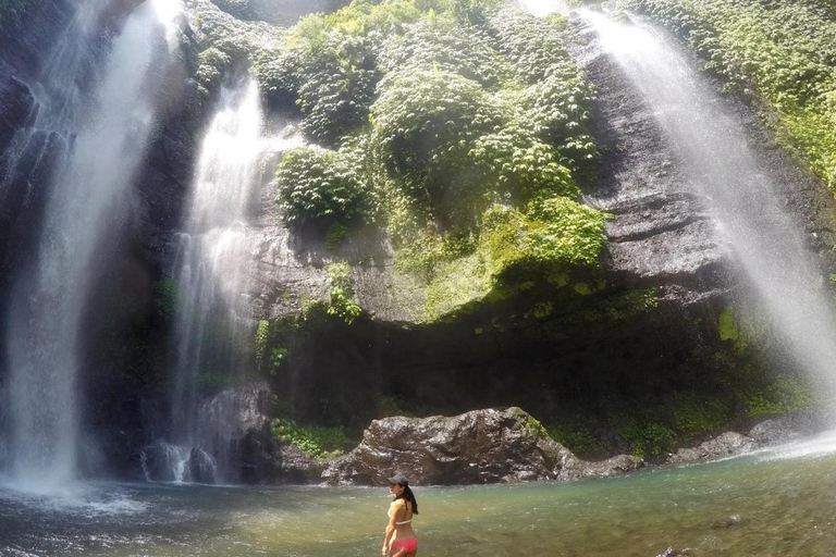 Bali: Lovina Dolphin Watching, Sekumpul Waterfall & Lunch Lovina Dolphin Watching, Sekumpul Waterfall & Lunch