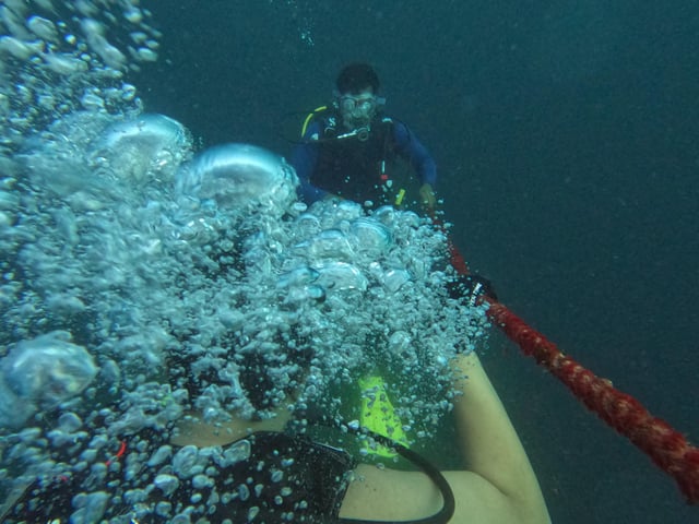 Découvrez la plongée sous-marine à Dubaï, Essayez la plongée - cours PADI