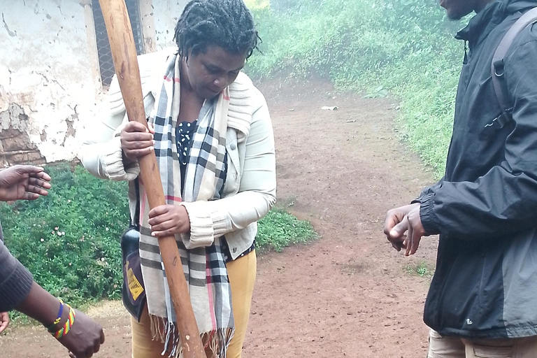 Arusha/Moshi: cascada, tour del café y vino de plátanoCascadas de Materuni, plantación de café y almuerzo desde Arusha