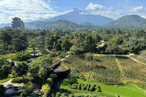 12 Tage Luxus Tansania Flitterwochen Safari und Sansibar