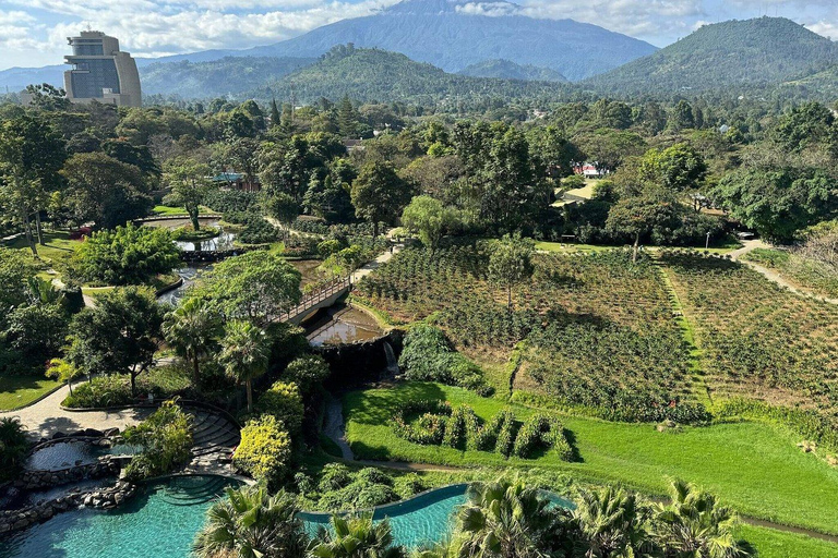 Viaggio di nozze di lusso in Tanzania e Zanzibar per 12 giorni