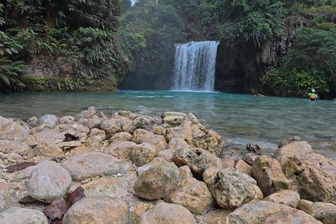 Cebu: Oslob Whaleshark Watching Canyoneering ritiro privato