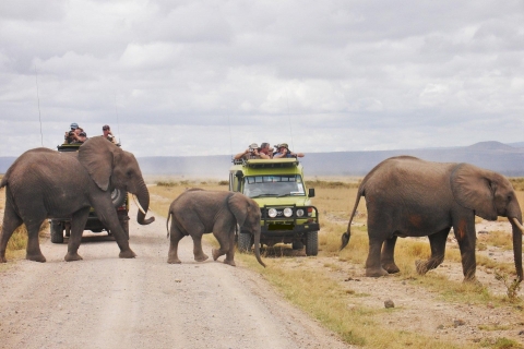 10-dniowe safari w Kenii dla nowożeńców z Jeepem 4x410-dniowe safari w Kenii podczas miesiąca miodowego