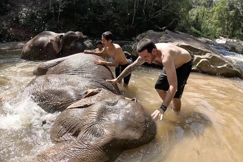 Chiang Mai: Etisk elefantreservoar och ATV-äventyr1,5 timmes ATV- och elefantreservat med lunch och transfer