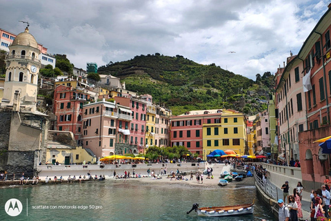 Florence to Cinque Terre e Pisa: Private Full-Day Tour