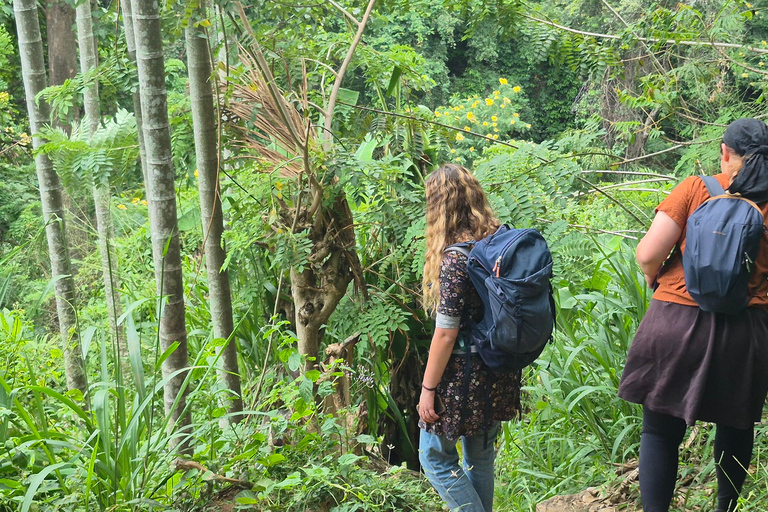 Esplora le cascate iconiche di Ella con un&#039;avventura panoramica in tuk-tuk