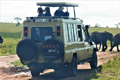 TANZANIA SAFARI SALVAJE! TANZANIA SAFARI SALVAJE!