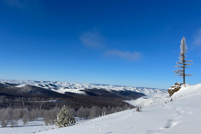 Sanzai: Selbe River Reservoir Hike with Lunch