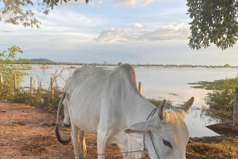 Floating Village Chong Khneas Sunset Cruise Tuktuk Transfers