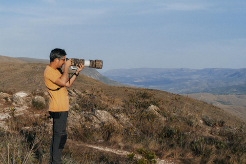 From São Paulo: 5-Day Serra da Canastra Wildlife Safari
